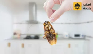 طريقة التخلص من الحشرات