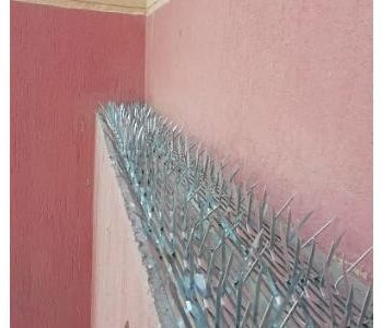 شركة تركيب طارد الحمام بالرياض, شركة مكافحة الحمام بالرياض, شركة طارد الحمام بالرياض