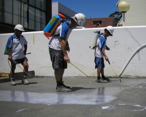 تقفيل سطح المنزل, تنسيق سطح المنزل, مشاريع علي سطح المنزل, اشكال روف سطح, طرق تقفيل الروف, تزيين السطح باقل التكاليف, شوفو سطح بيتي, استغلال اسطح المنازل