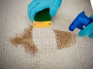 كيف أنظف الموكيت في الرياض