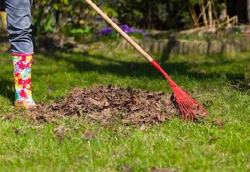 عامل تنظيف الحوش بالرياض, عامل يغسل الحوش بالرياض, عامل غسيل الحوش بالرياض, شركة تنظيف الاحواش بالرياض, غسيل حوش المنزل بالرياض, عمال ينظفون الحوش بالرياض, شركة تنظيف بلاط الاحواش بالرياض, شركة تنظيف الحوش بالرياض