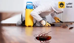 شركة مكافحة الصراصير بالرياض, مكافحة الصراصير بالرياض, مكافحة حشرات الصراصير بالرياض, مكافحة الصراصير الصغيرة في المطبخ في مدينة الرياض, مبيد الصراصير من شركة الانوار لمكافحة الحشرات, التخلص من الصراصير للابد في الرياض, شركة رش الصراصير بالرياض