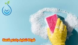 شركة تنظيف بالدلم,شركة تنظيف مجالس بالدلم,شركة تنظيف منازل بالدلم,شركة تنظيف سجاد بالدلم,شركة تنظيف موكيت بالدلم,شركة تنظيف كنب بالدلم