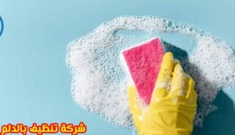 شركة تنظيف بالدلم,شركة تنظيف مجالس بالدلم,شركة تنظيف منازل بالدلم,شركة تنظيف سجاد بالدلم,شركة تنظيف موكيت بالدلم,شركة تنظيف كنب بالدلم