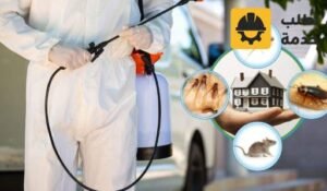 شركة رش حشرات بالرياض,رش حشرات الرياض,افضل شركة رش حشرات بالرياض,شركة رش مبيد حشرات بالرياض,مؤسسة رش حشرات الرياض