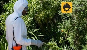 شركة مكافحة ثعابين بالرياض,مكافحة ثعابين بالرياض,شركة مكافحة ثعابين ,ارخص شركة مكافحة ثعابين بالرياض