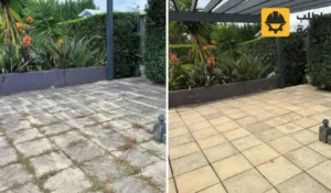 عامل تنظيف الحوش بالرياض, عامل يغسل الحوش بالرياض, عامل غسيل الحوش بالرياض, شركة تنظيف الاحواش بالرياض, غسيل حوش المنزل بالرياض, عمال ينظفون الحوش بالرياض, شركة تنظيف بلاط الاحواش بالرياض, شركة تنظيف الحوش بالرياض