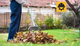 شركة تنظيف حدائق, تنظيف حدائق المنزل, تنظيف الحدائق المنزلية, شركة تنظيف زرع, شركة تنظيف حدائق بالرياض