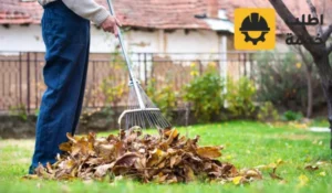 شركة تنظيف حدائق, تنظيف حدائق المنزل, تنظيف الحدائق المنزلية, شركة تنظيف زرع, شركة تنظيف حدائق بالرياض