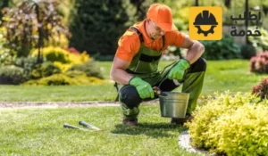 شركة تنظيف حدائق, تنظيف حدائق المنزل, تنظيف الحدائق المنزلية, شركة تنظيف زرع, شركة تنظيف حدائق بالرياض